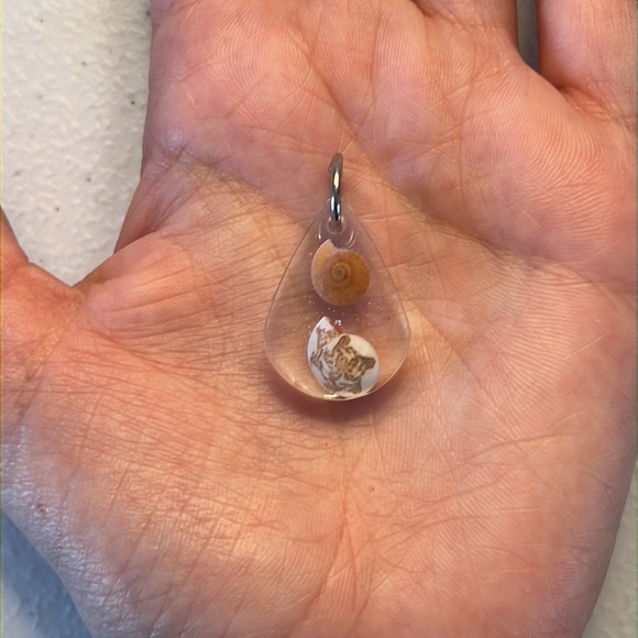 Handmade pendant with 2 seashells with mixed colors. - Picture 4 of 5